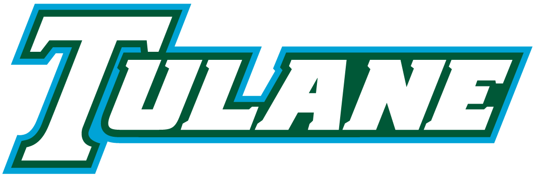 Tulane Green Wave 1998-Pres Wordmark Logo v3 diy DTF decal sticker